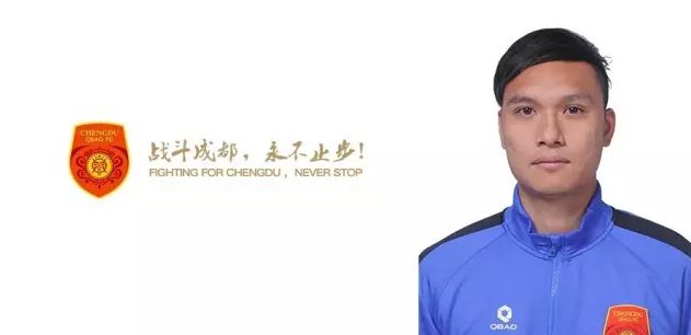 职业助手