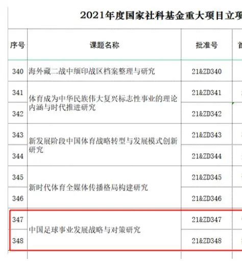国产精品久久中文
