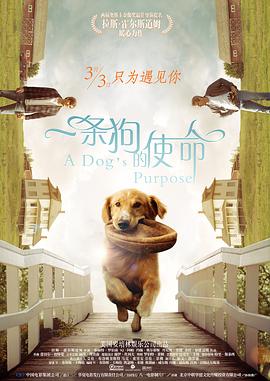 久久成人福利