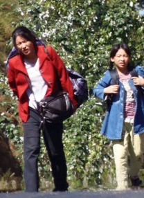 最近国语免费看