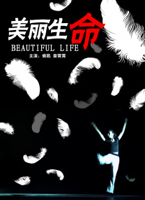 桃花岛在线观看