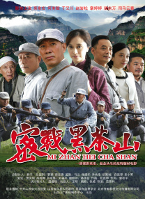 精品国产v
