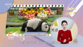 国产91精选在线观看麻豆